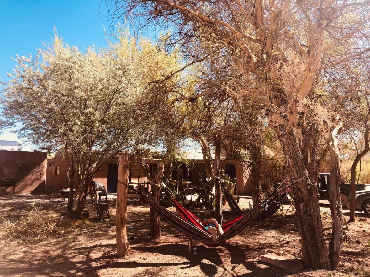 Refugio Andino Con Vista Al Volcan. * San Pedro de Atacama